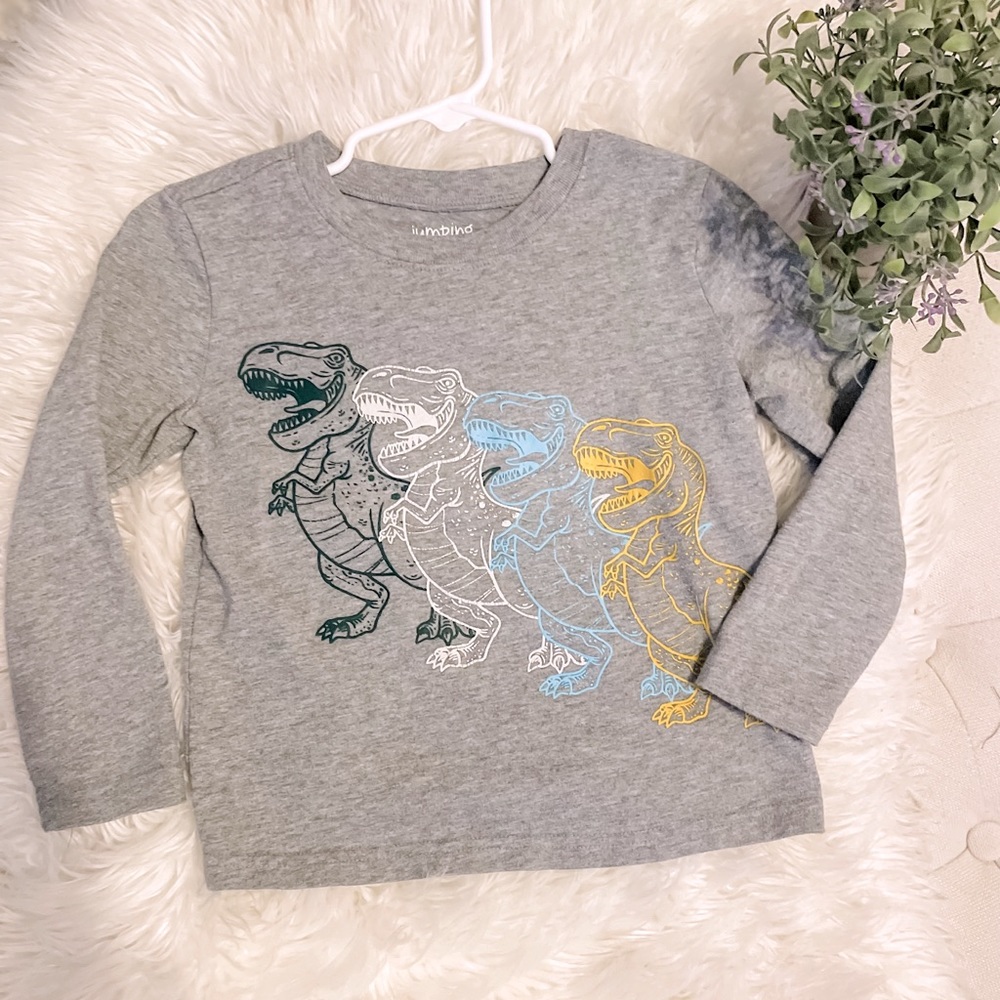 Boys 4T long sleeved Dino shirt